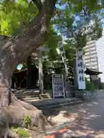 洲嵜神社の自然