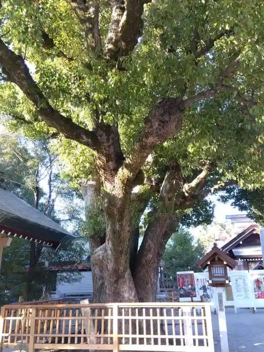 和泉國一之宮 大鳥大社(大阪府)