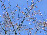 真福寺(岡山県)