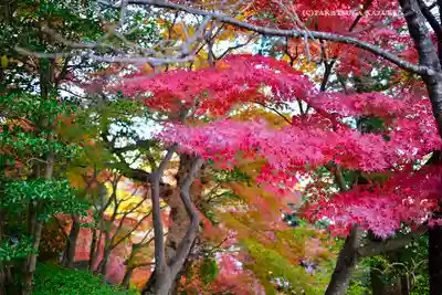 長谷寺(神奈川県)