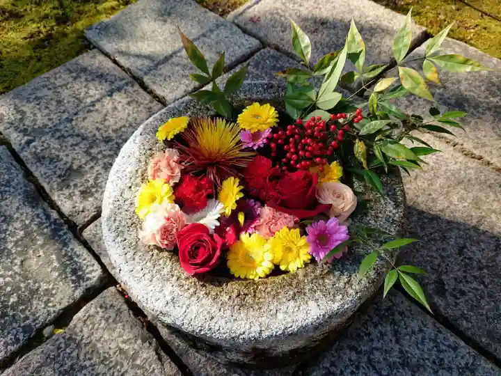 勝林寺(京都府)