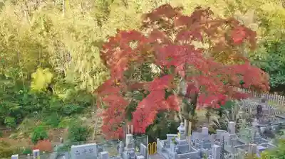 毘沙門堂門跡のその他建物