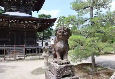 智恩寺の狛犬
