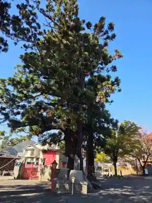 飯坂八幡神社(福島県)
