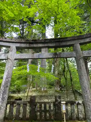 瀧尾神社（日光二荒山神社別宮）の鳥居