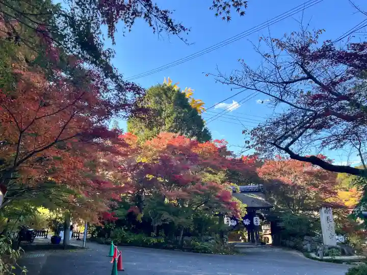 国宝 長寿寺(滋賀県)