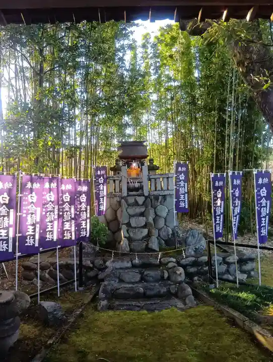 白金龍王社(愛知県)