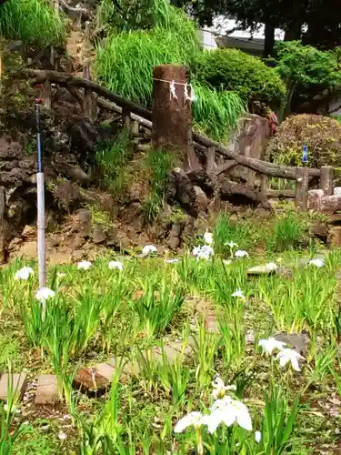 鳩森八幡神社(東京都)