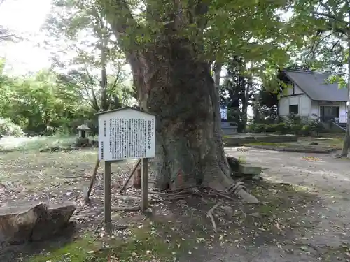 日吉神社(秋田県)