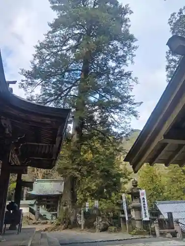 甘南美寺(岐阜県)