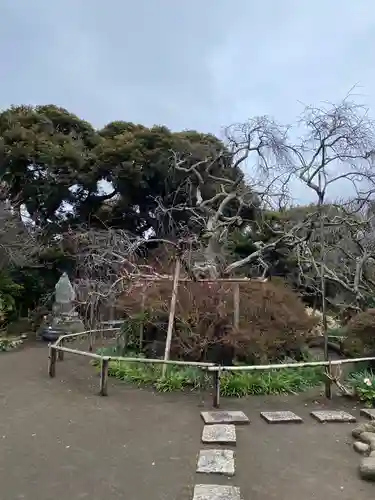 宝戒寺の庭園