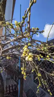 婦里香希地蔵の自然