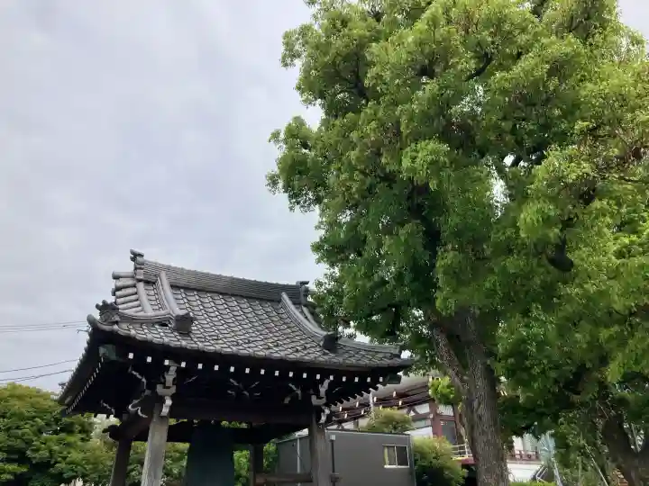 天妙国寺の{uncategorized: "未分類", other: "その他", undefined: "問題あり", building: "その他建物", grave: "お墓", sacred_gate: "鳥居", guardian: "狛犬", statue: "像", buddha: "仏像", history: "歴史", nature: "自然", garden: "庭園", animal: "動物", pagoda: "塔", temizu: "手水舎", mountain_gate: "山門・神門", sanctuary: "本殿・本堂", subordinate: "末社・摂社", art: "芸術", scenery: "景色", jizo: "地蔵", ema: "絵馬", goshuin: "御朱印", omikuji: "おみくじ", items: "授与品その他", amulet: "お守り", goshuincho: "御朱印帳", eats: "食事", festival: "お祭り", votive_dance: "神楽", shichigosan: "七五三参", wedding: "結婚式", experience: "体験その他", initially: "初詣", around: "周辺", anti_infection: "感染症対策"}