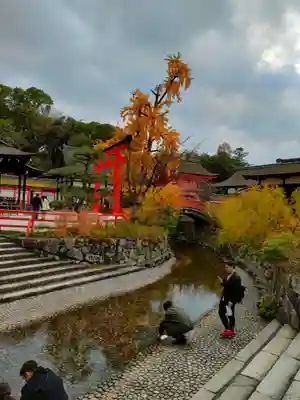 賀茂御祖神社（下鴨神社）(京都府)