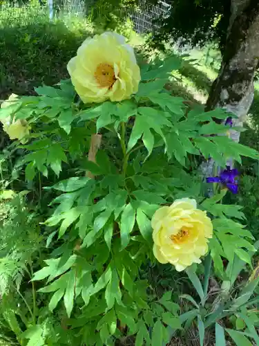 遠照寺(長野県)