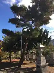 札幌村神社(北海道)