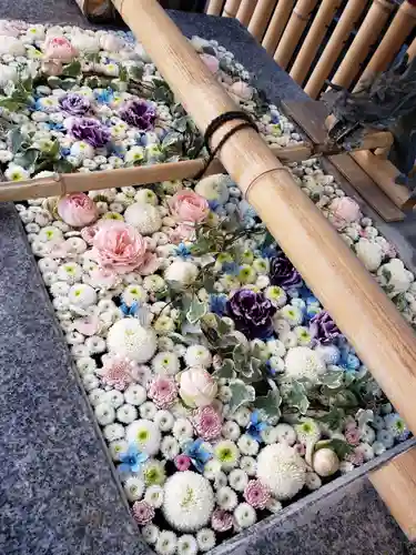 高円寺氷川神社の手水舎