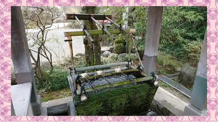 達磨寺(群馬県)