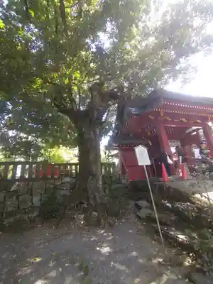 一之宮貫前神社(群馬県)