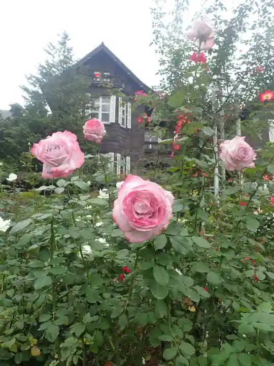 駒込妙義神社(東京都)