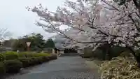 隨心院(随心院)(京都府)