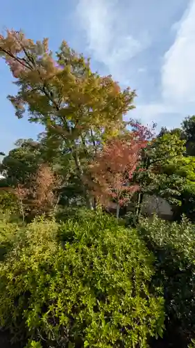 大法院(京都府)