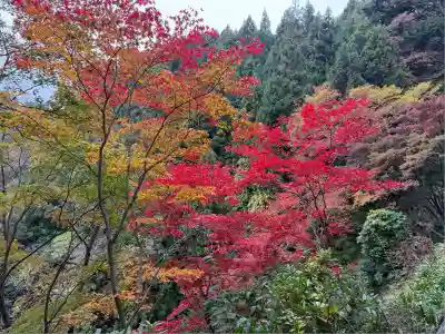 武蔵御嶽神社(東京都)