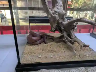 坪沼八幡神社の動物