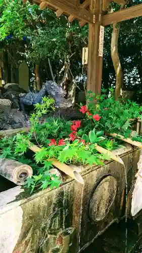 畑子安神社の手水舎