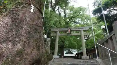 今宮神社の鳥居
