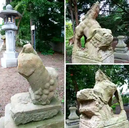 住吉神社の狛犬