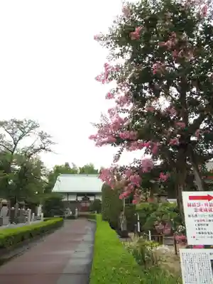 真光寺(千葉県)