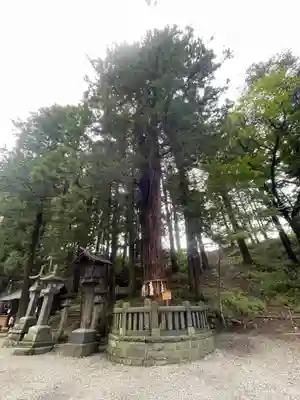 諏訪大社下社春宮(長野県)