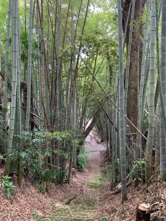 安立寺(千葉県)