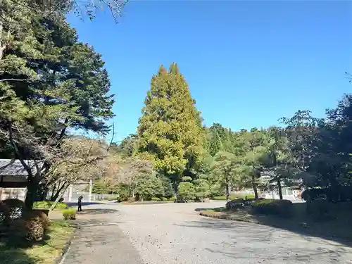 武蔵陵墓地の自然