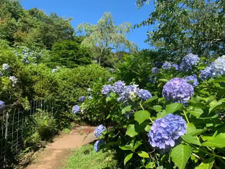 妙法生寺(千葉県)