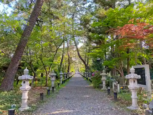 鶴嶺八幡宮の自然