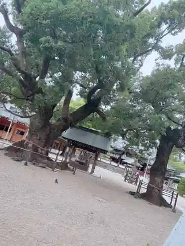 大聖観音寺（あびこ観音）(大阪府)