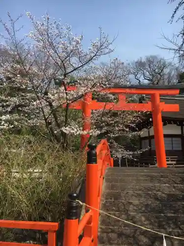 賀茂御祖神社（下鴨神社）の鳥居