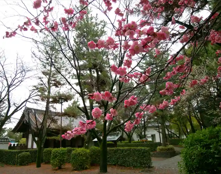 忍 諏訪神社・東照宮 (埼玉県)