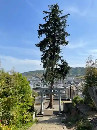 走田神社の鳥居