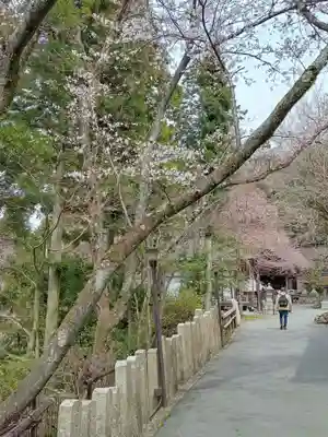 正法寺(滋賀県)