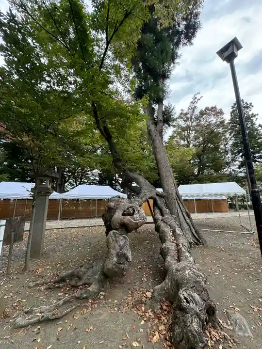 武水別神社(長野県)
