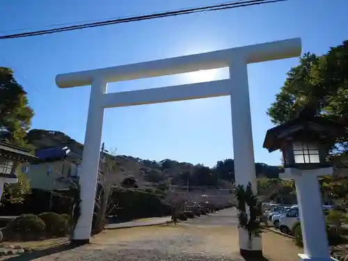 安房神社の鳥居