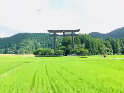 熊野本宮大社の鳥居