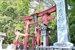 彌彦神社(新潟県)