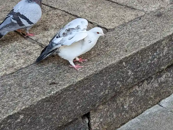頂法寺(六角堂)(京都府)