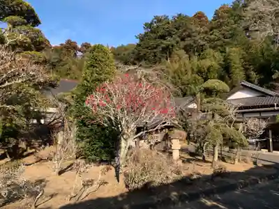 超林寺(千葉県)