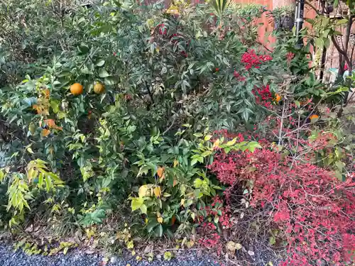 西四条斎宮　西院野々宮神社(春日神社御旅所)(京都府)
