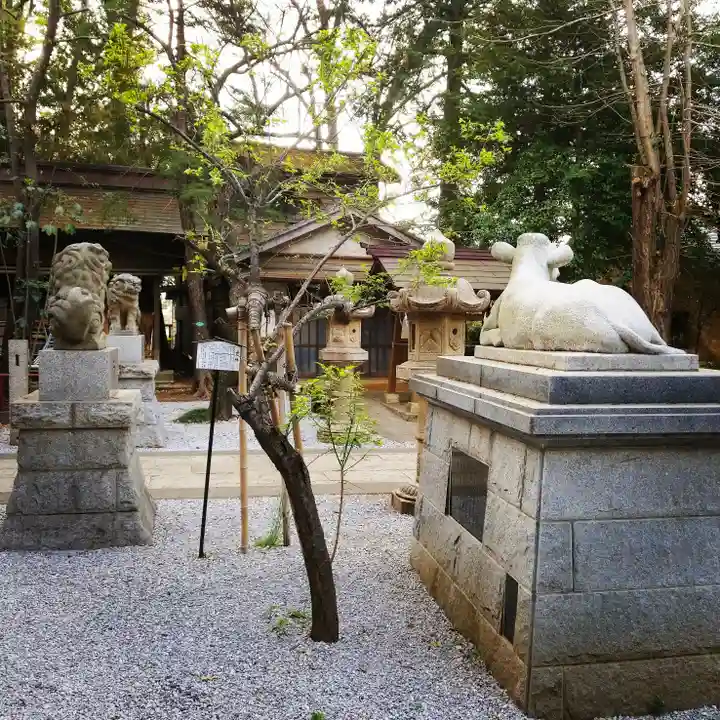 小金井神社の狛犬
